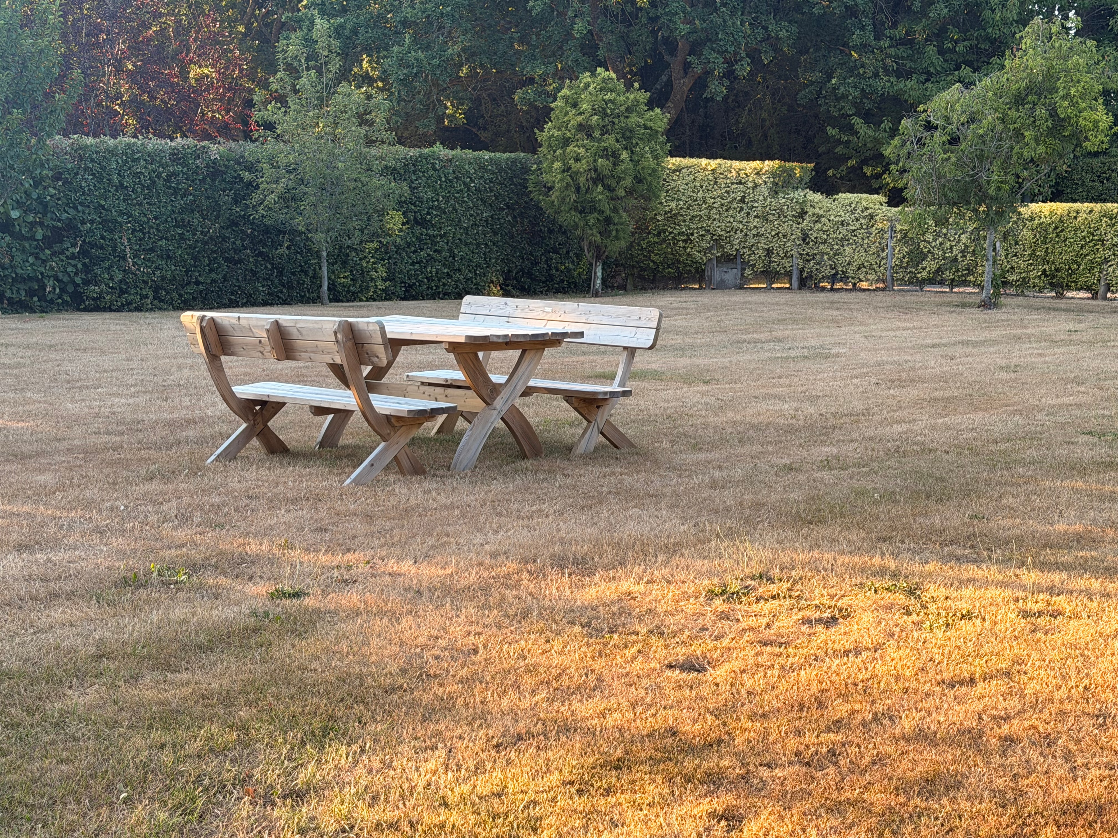 The peaceful grounds at The Willows — willow and oak trees providing natural shade